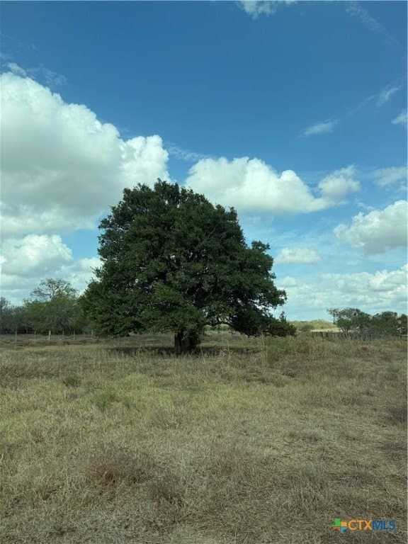 108.19 acres in DeWitt County - photo 2