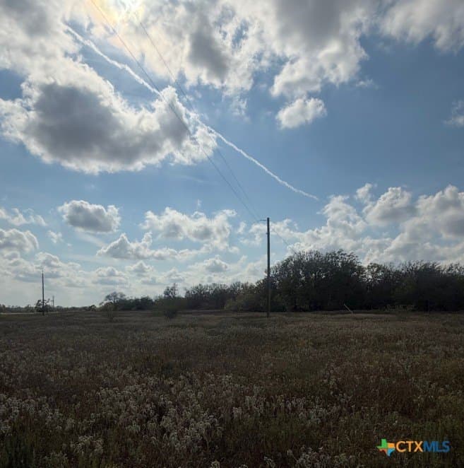 108.19 acres in DeWitt County - photo 5