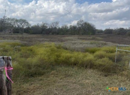 108.19 acres in DeWitt County - photo 21