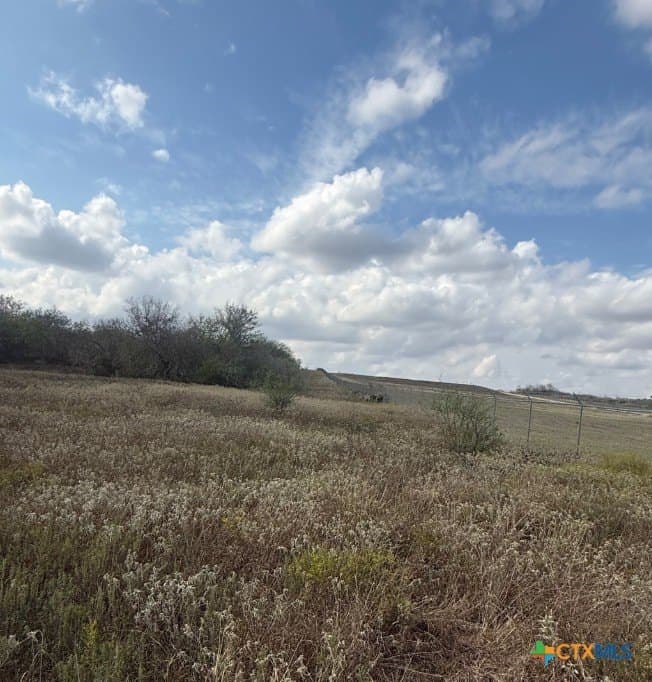 108.19 acres in DeWitt County - photo 7