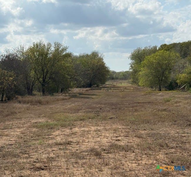 108.19 acres in DeWitt County - photo 3