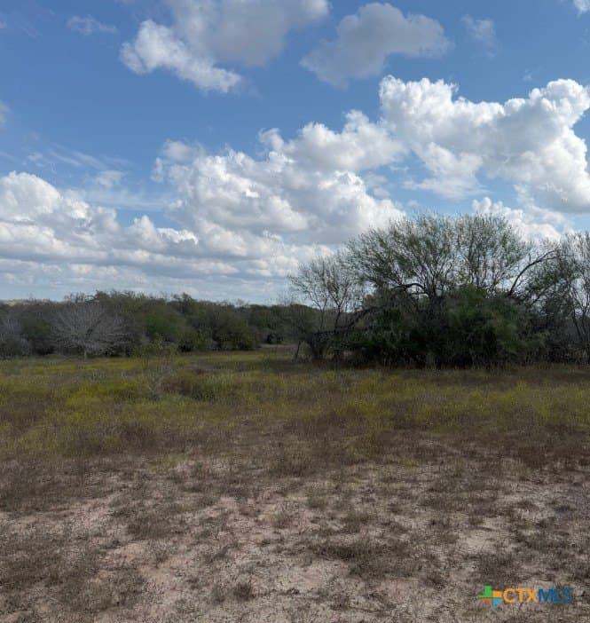 108.19 acres in DeWitt County - photo 8