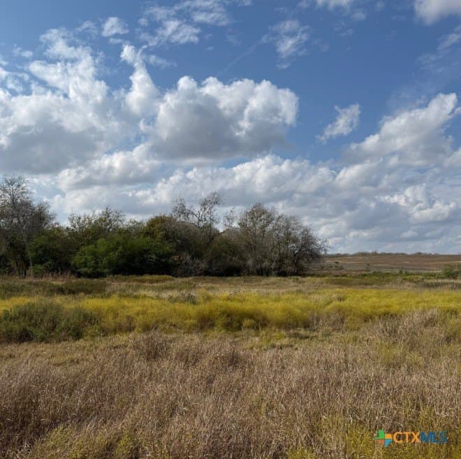 108.19 acres in DeWitt County - photo 9