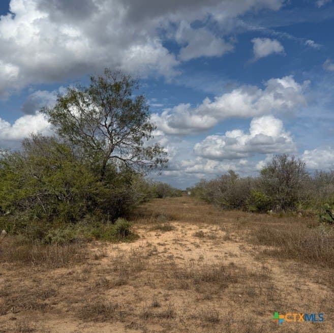 108.19 acres in DeWitt County - photo 13