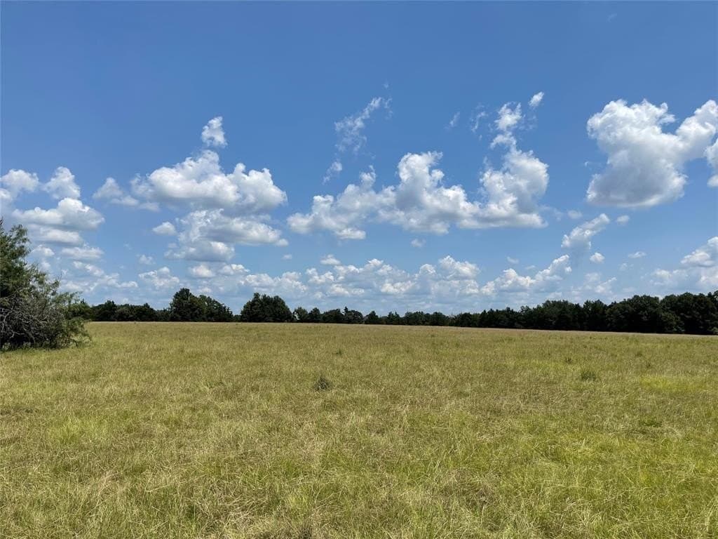 34.73 acres in Limestone County - photo 5