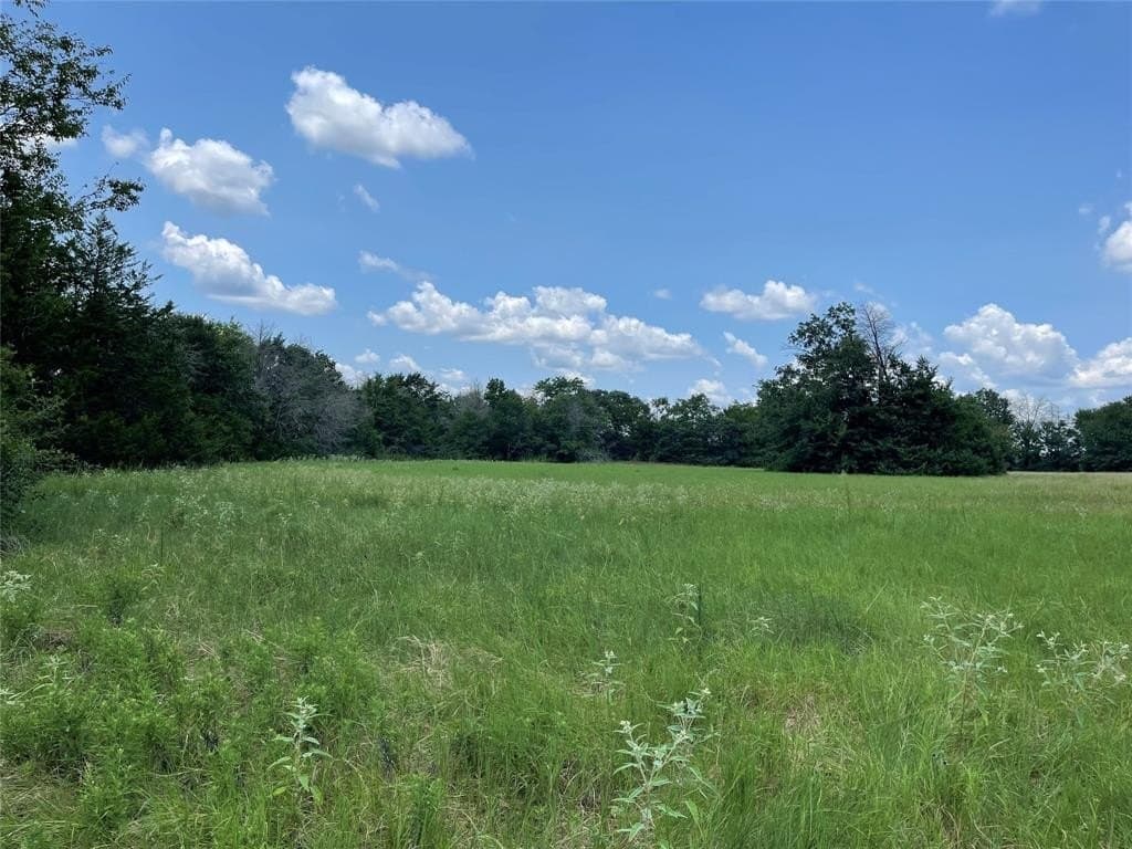 34.73 acres in Limestone County - photo 3