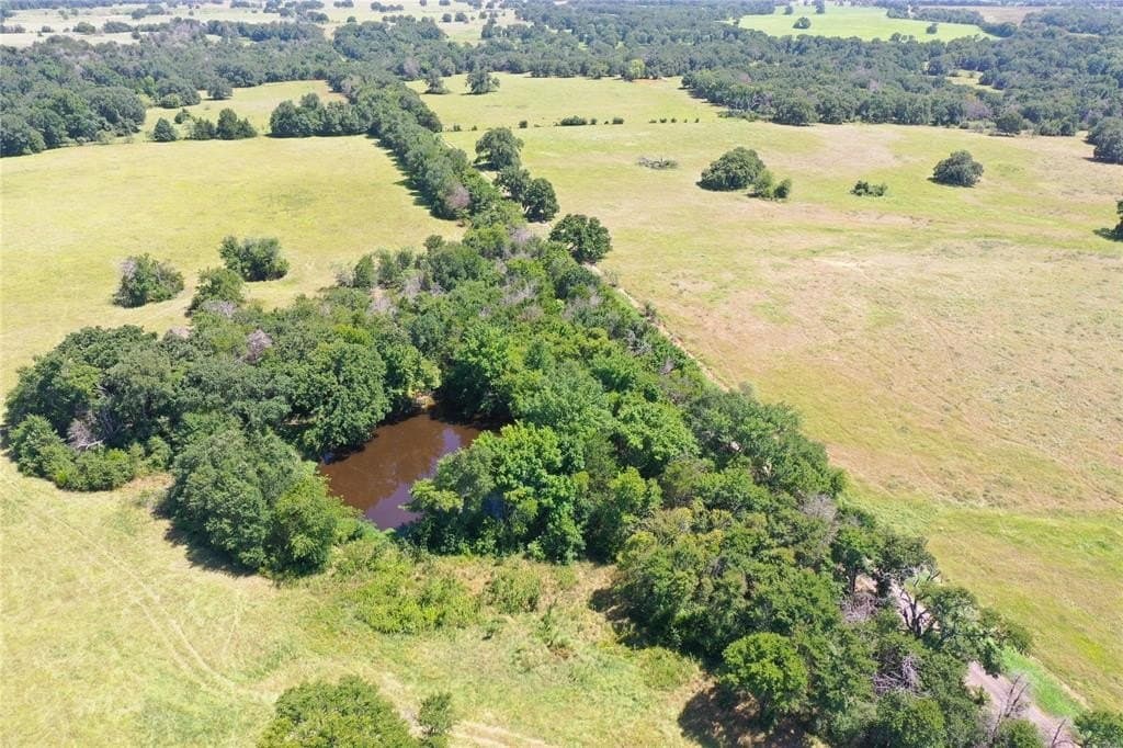 34.73 acres in Limestone County - photo 9