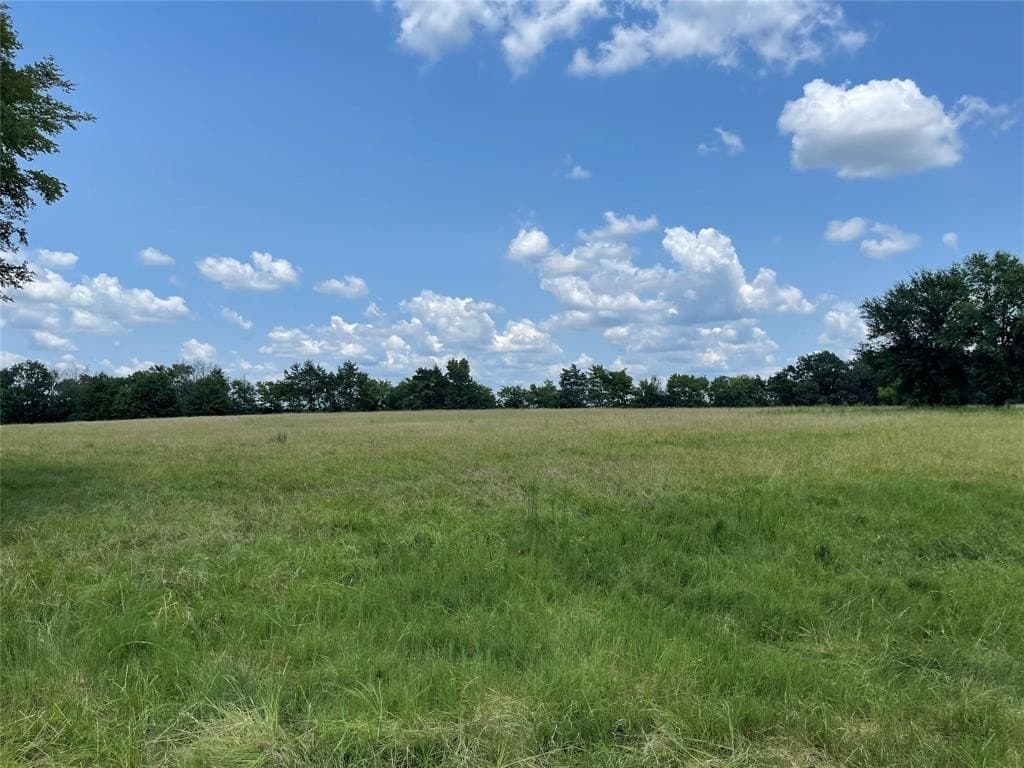 34.73 acres in Limestone County - photo 14
