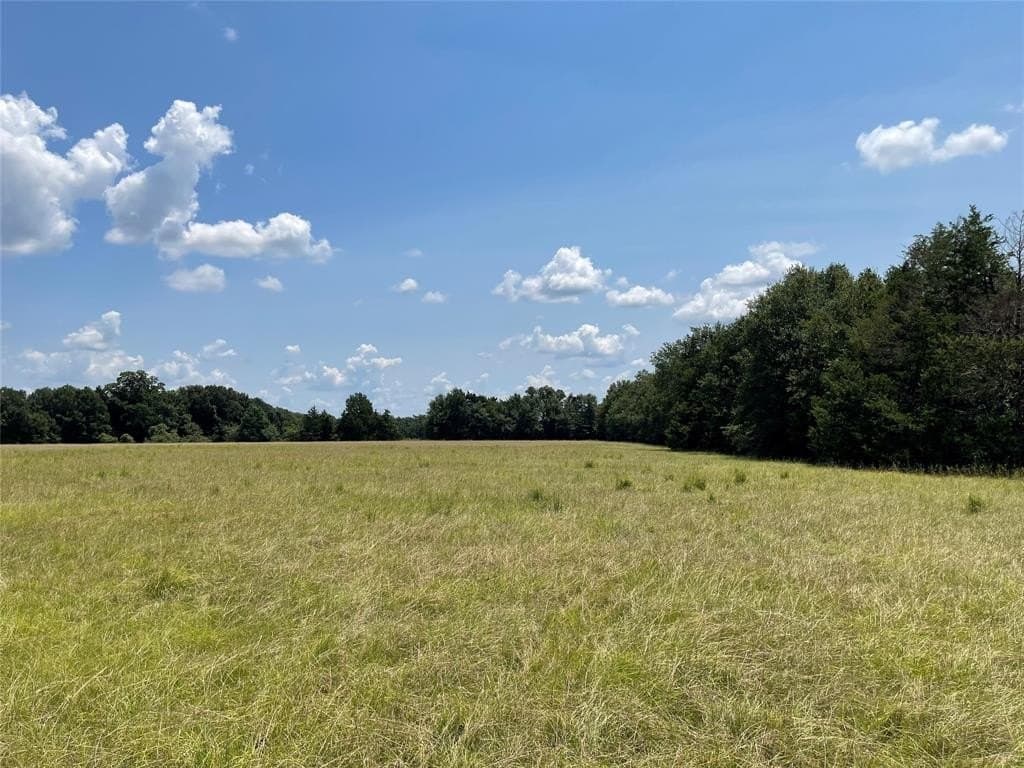 34.73 acres in Limestone County - photo 15