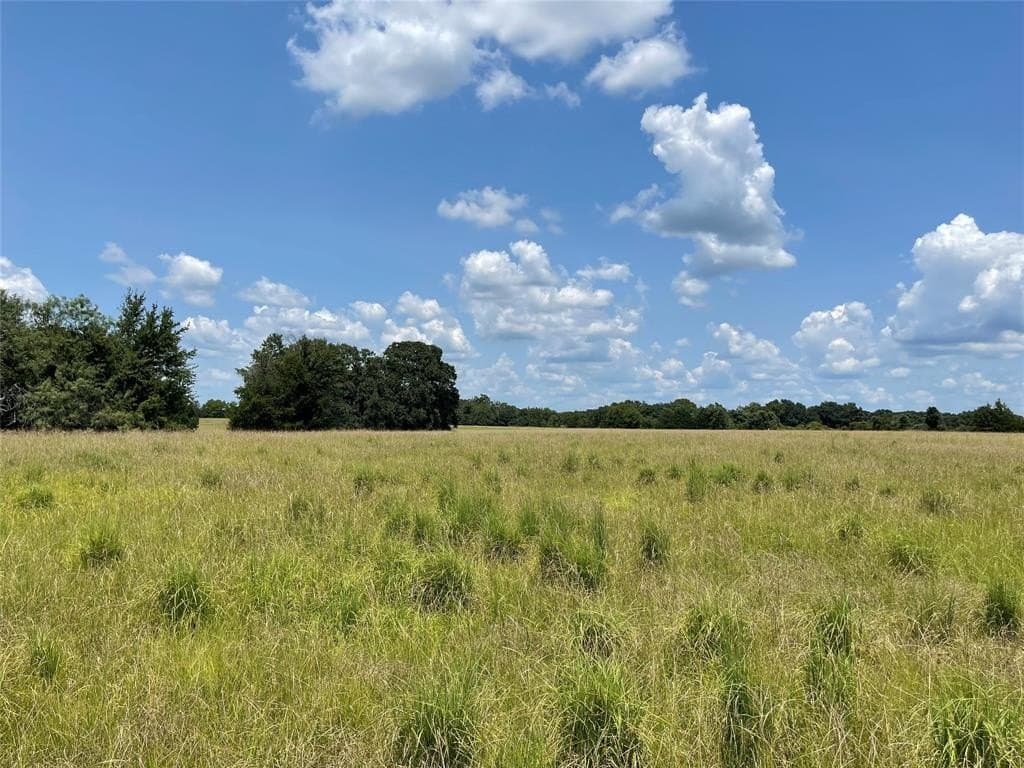 34.73 acres in Limestone County - photo 7