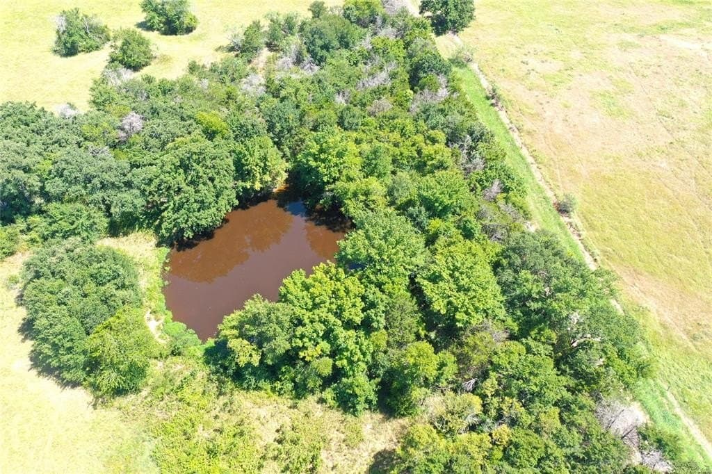 34.73 acres in Limestone County - photo 11