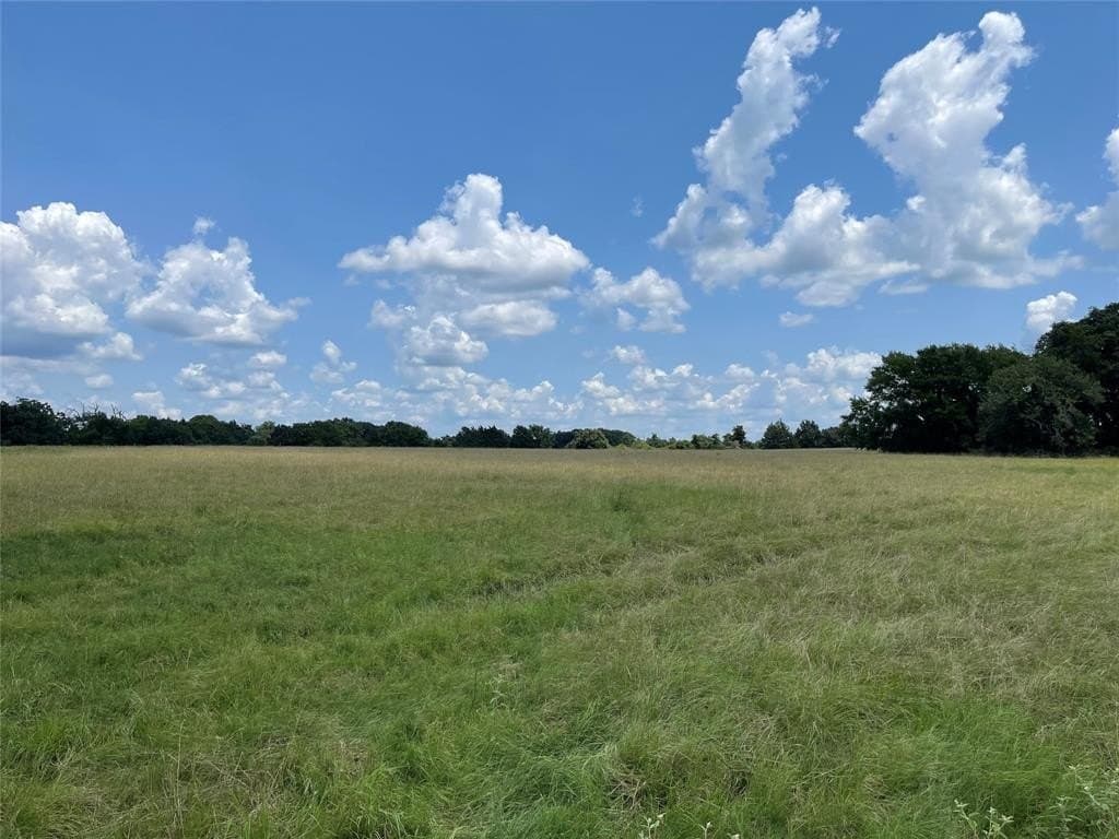 34.73 acres in Limestone County - photo 2