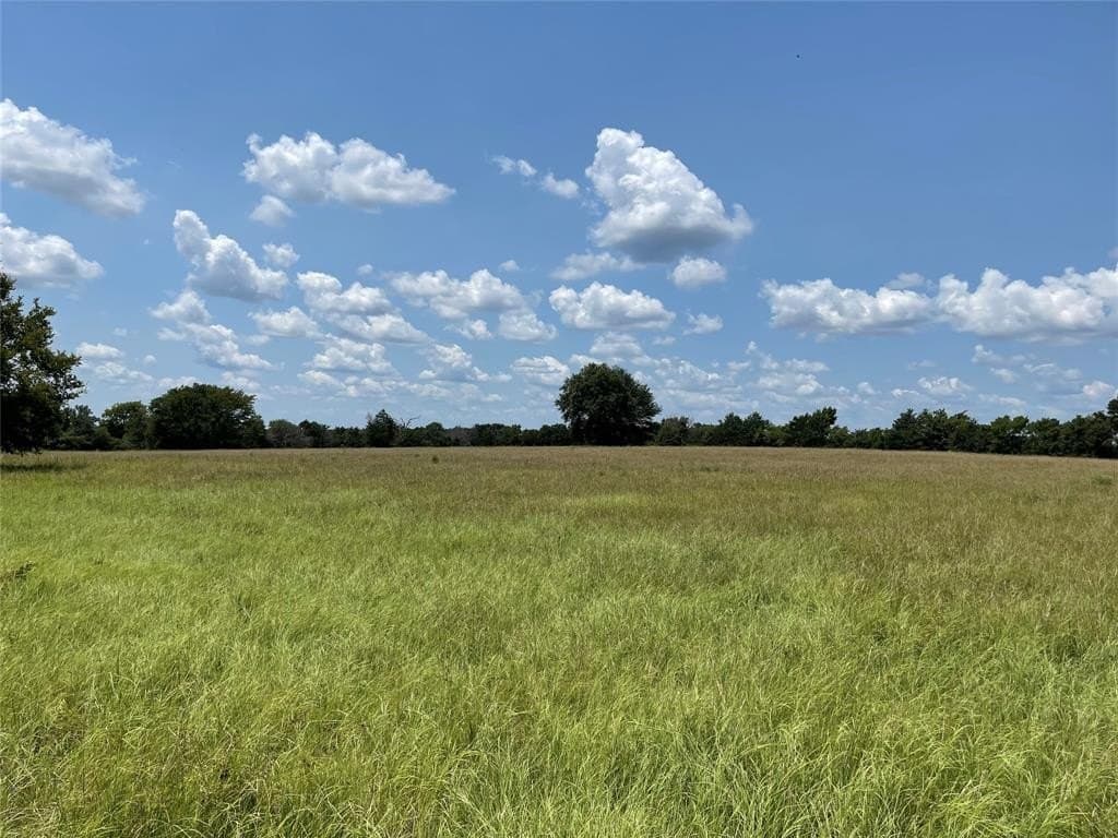 34.73 acres in Limestone County - photo 6