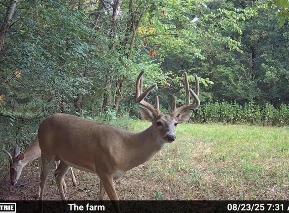 100 acres in Van Zandt County - photo 40