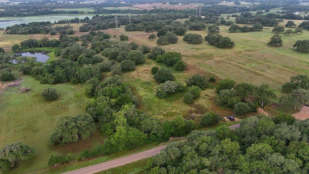 9365 Bauer Road