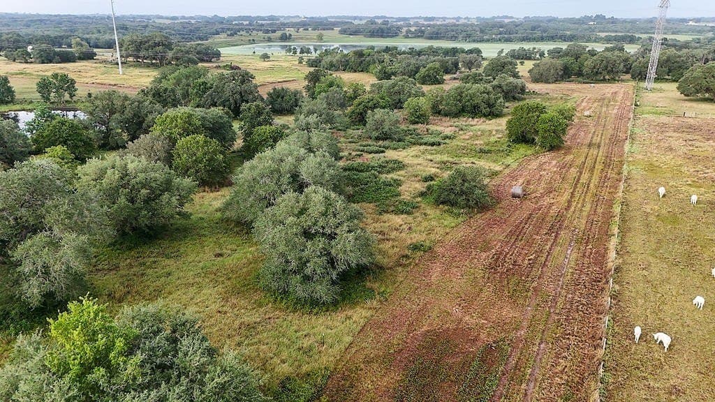16.02 acres in Fayette County - photo 14