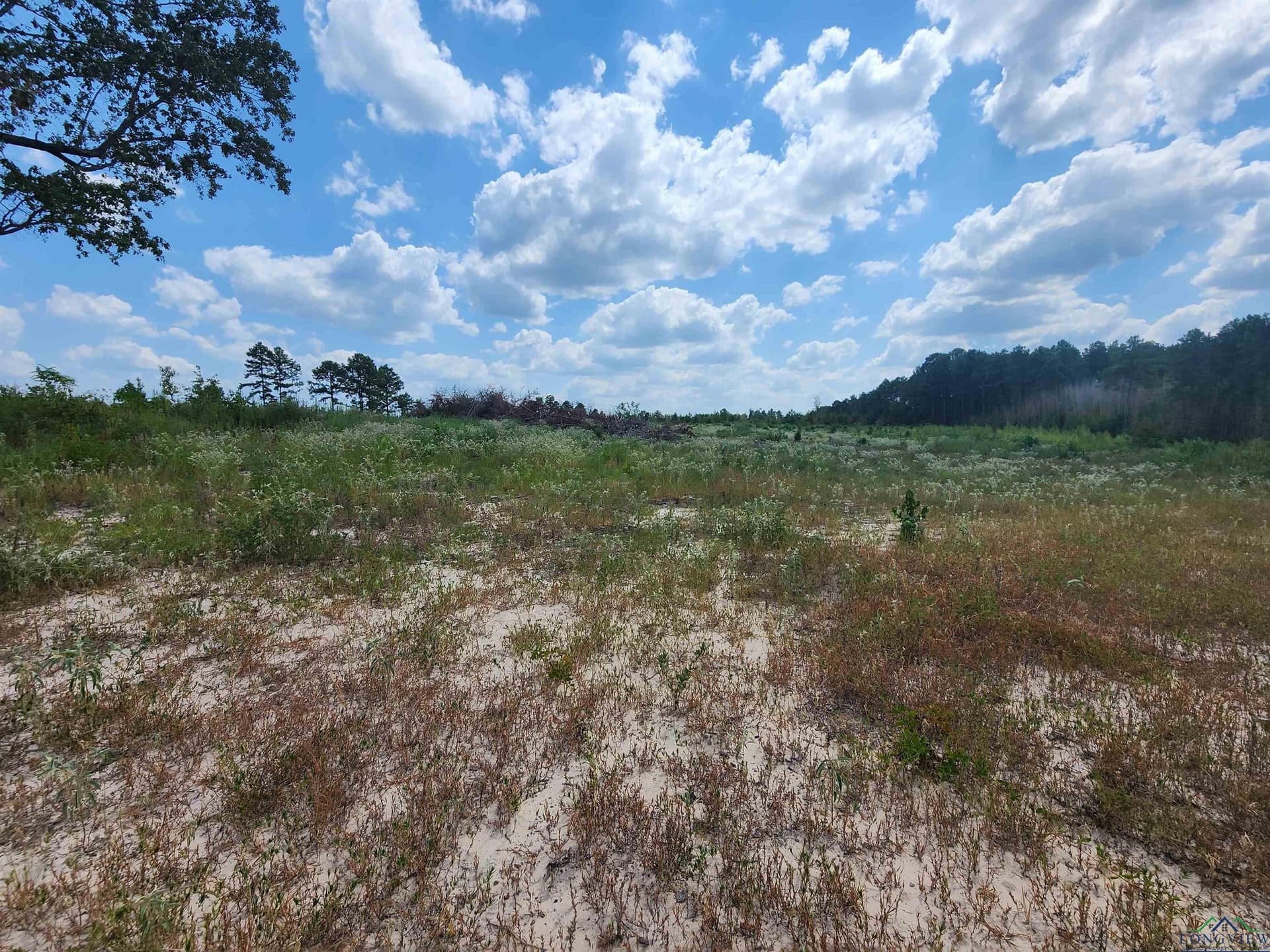 8.5 acres in Cass County - photo 4