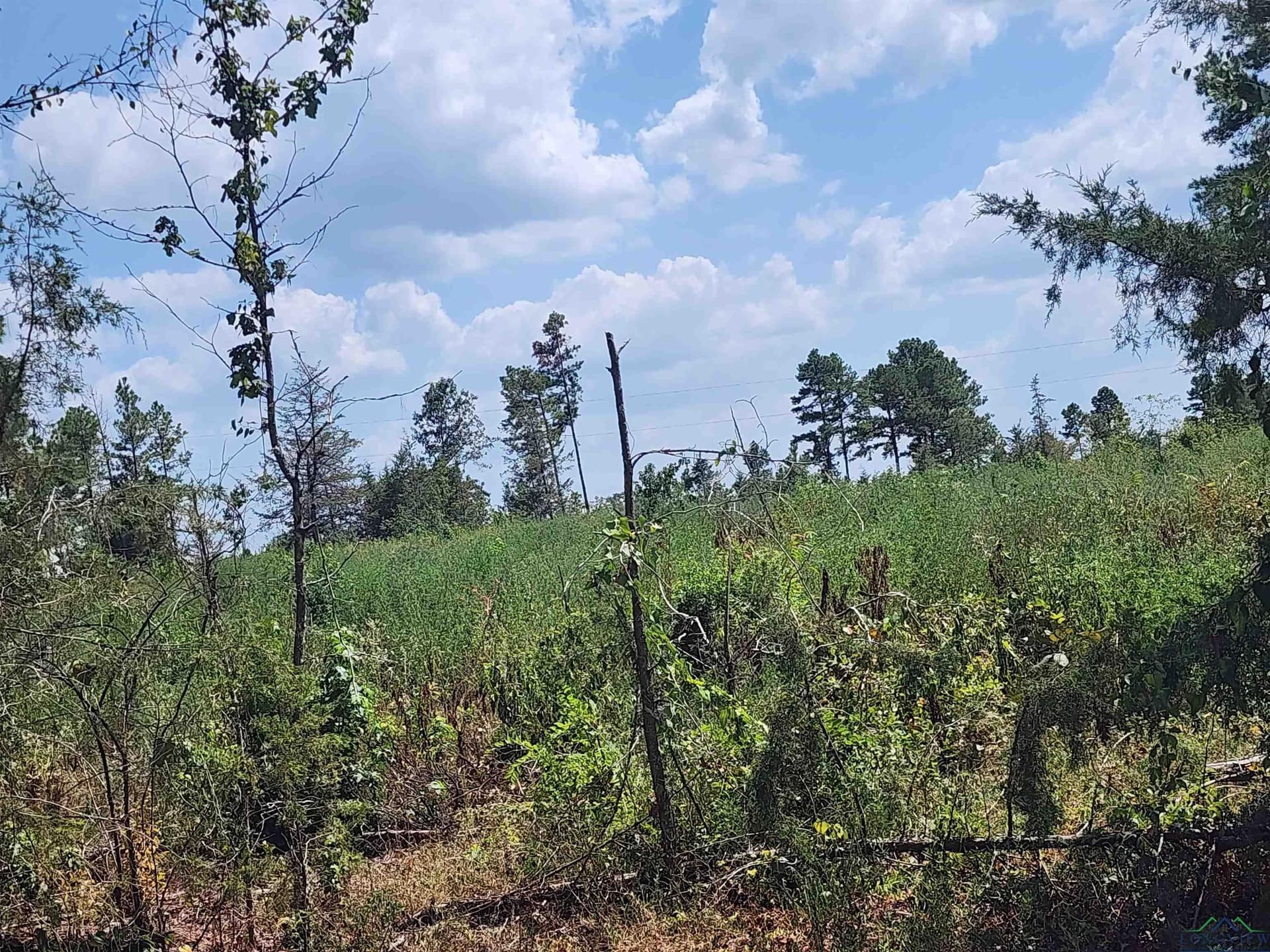 8.5 acres in Cass County - photo 10