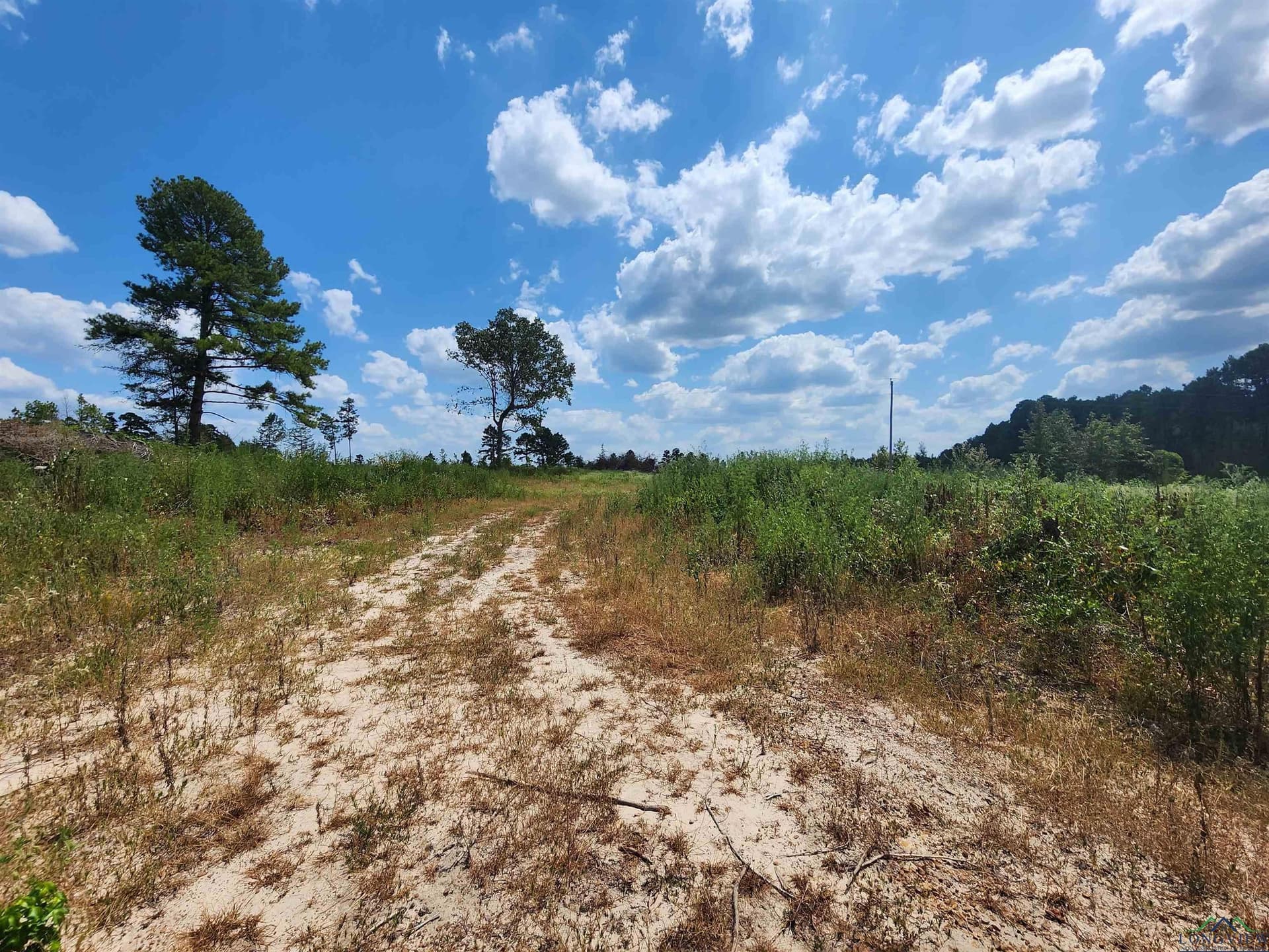 8.5 acres in Cass County - photo 9