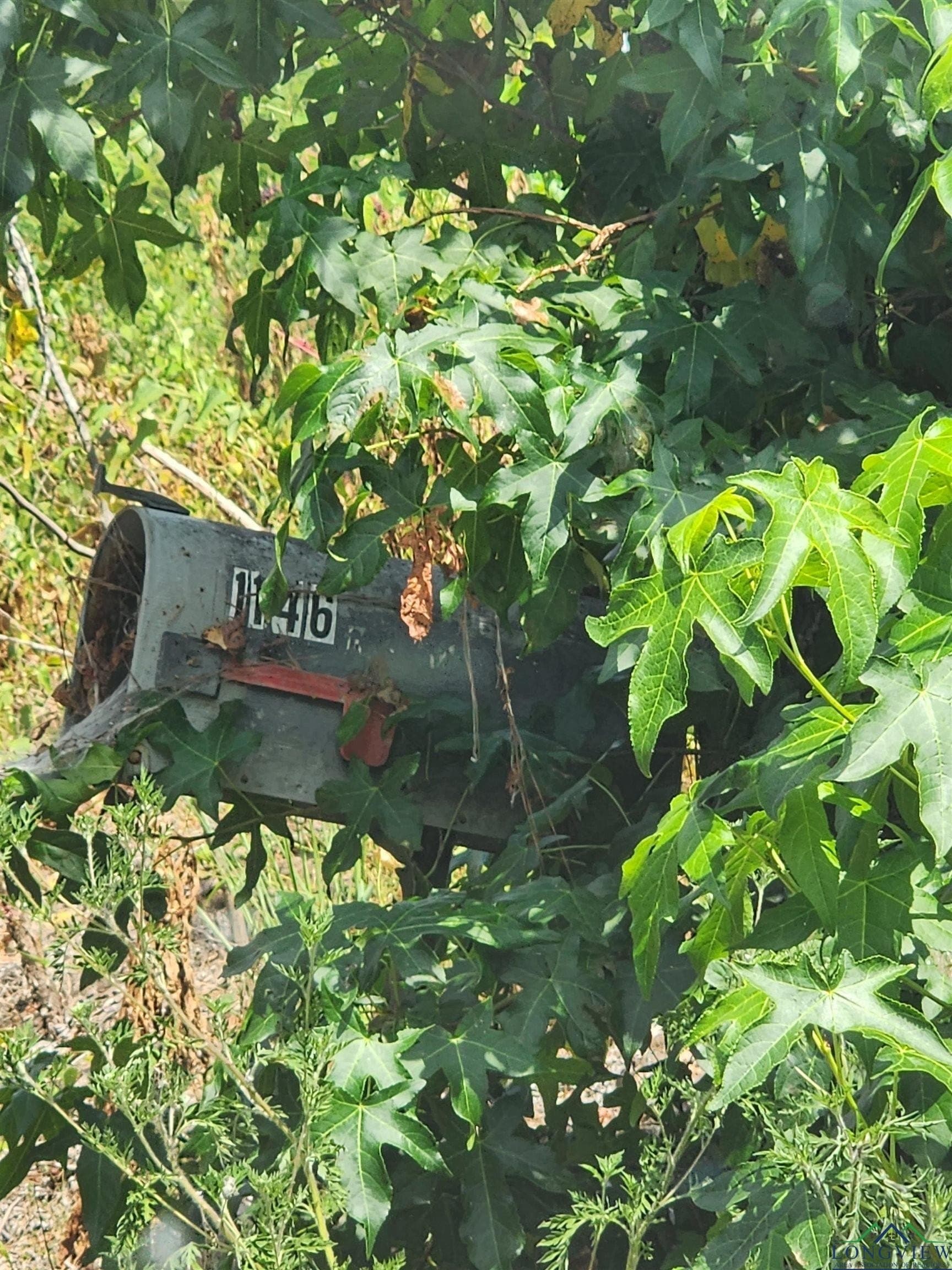 8.5 acres in Cass County - photo 13