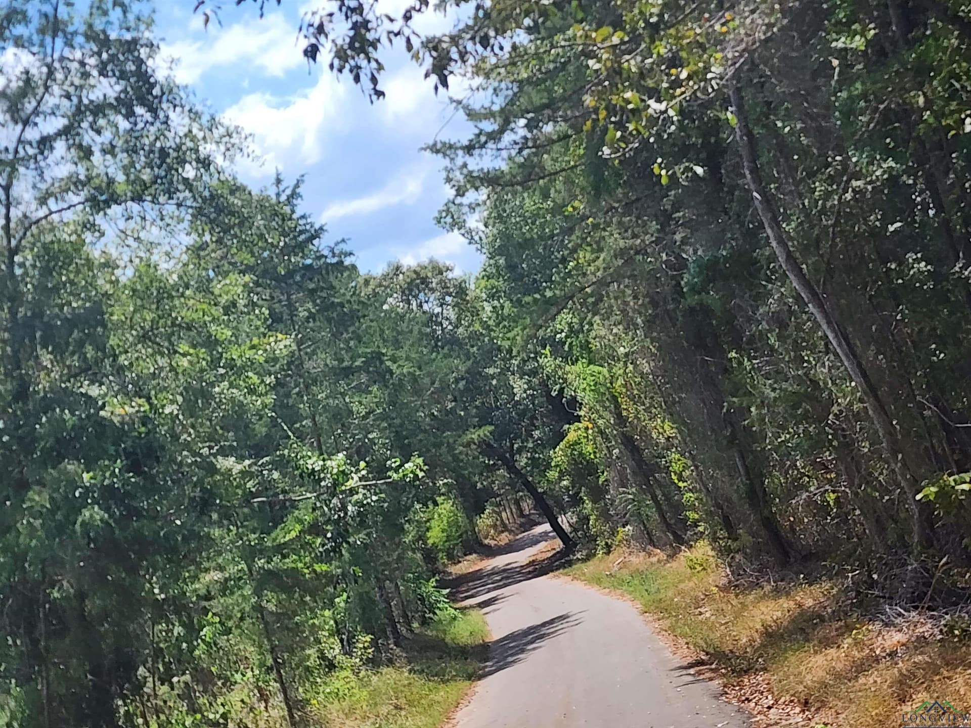 8.5 acres in Cass County - photo 12