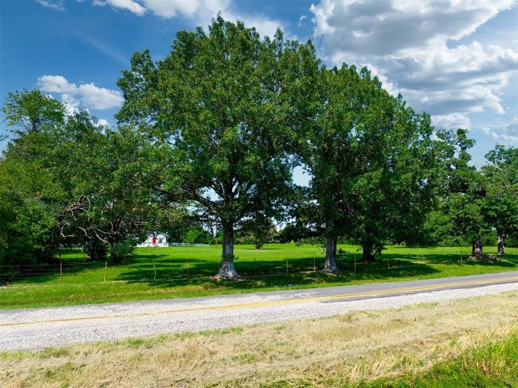12.25 acres in Lamar County - photo 39