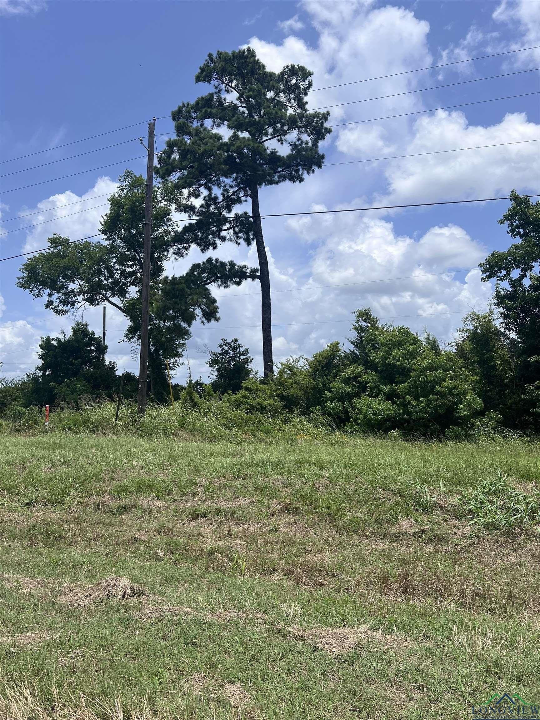 1.99 acres in Shelby County - photo 7