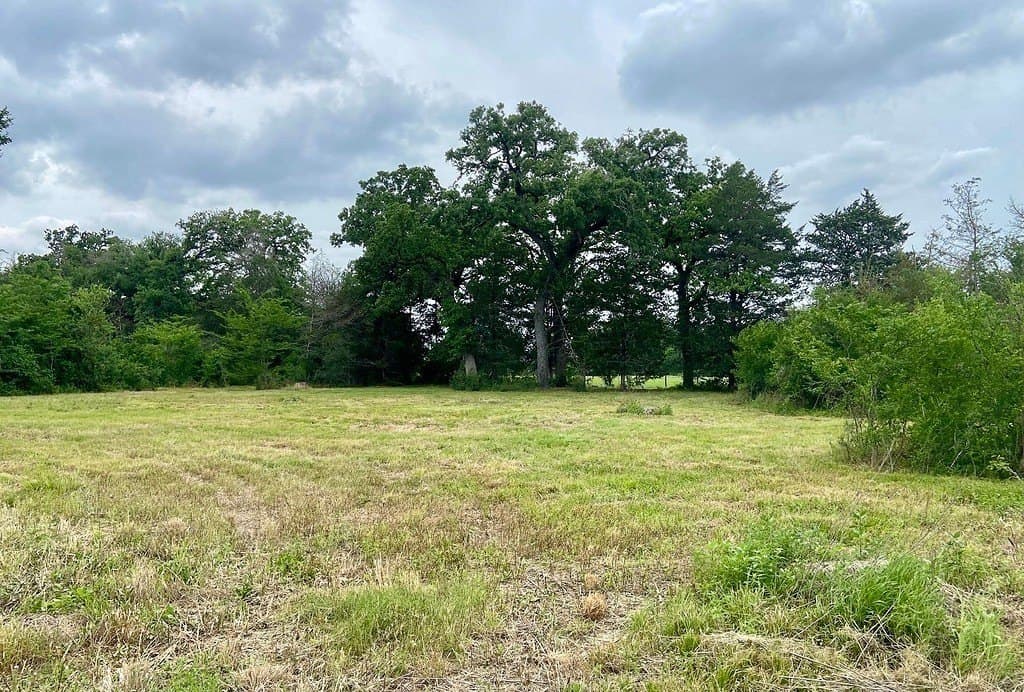LOT 3 County Road 137