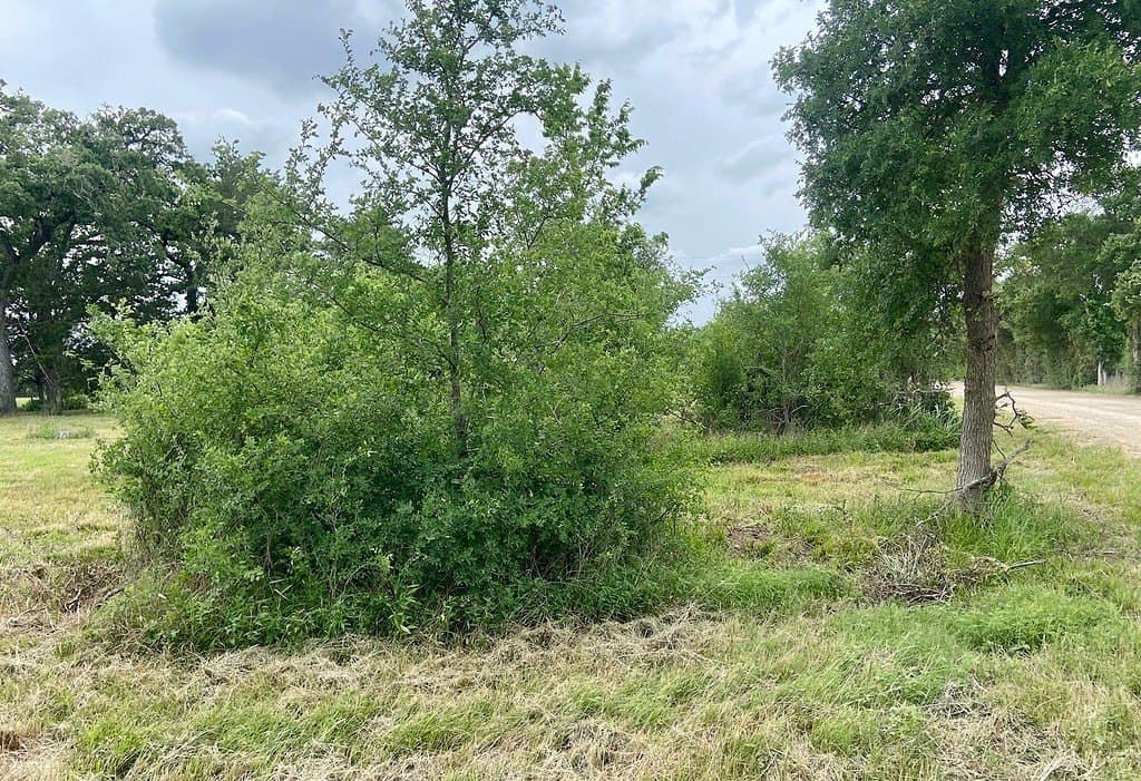 3.63 acres in Burleson County - photo 3
