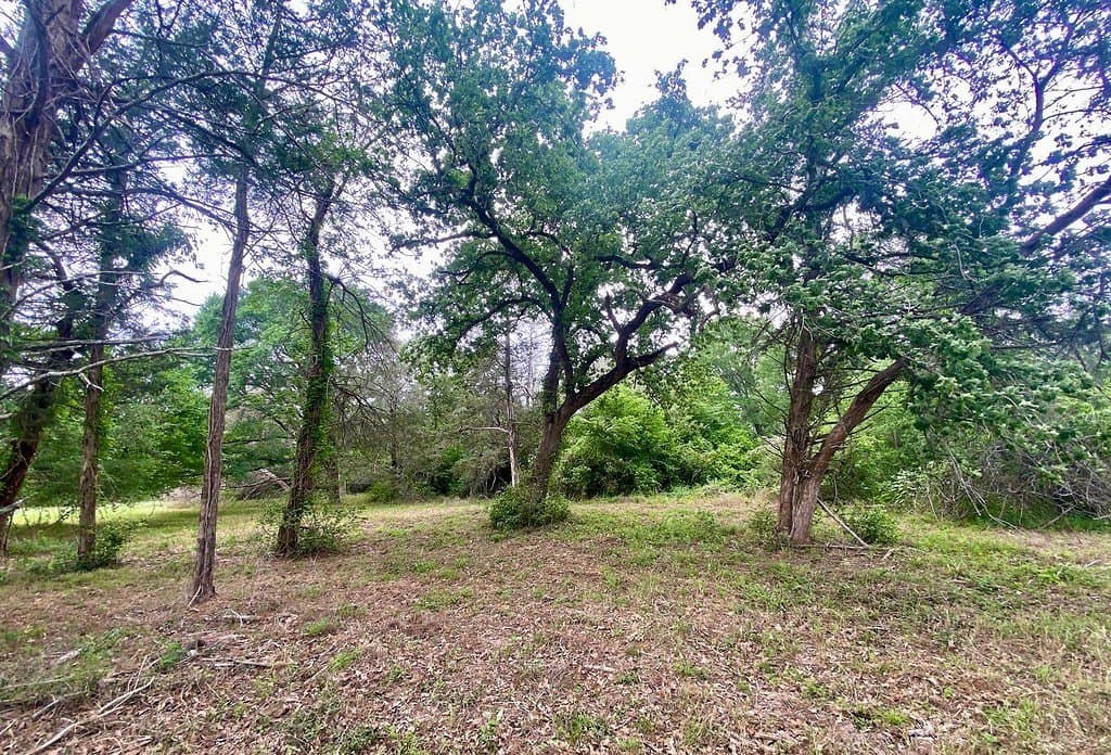 3.63 acres in Burleson County - photo 2