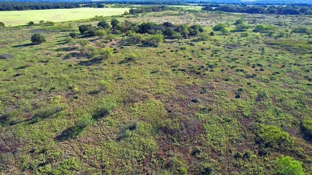 60 acres in Young County - photo 6