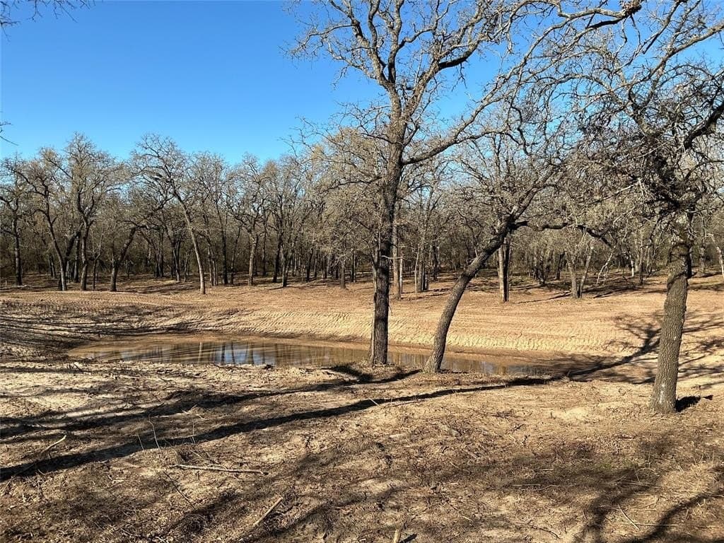 10.77 acres in Erath County - photo 11