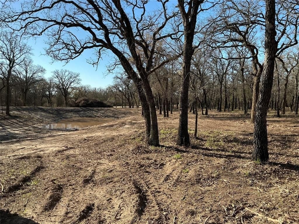 10.77 acres in Erath County - photo 15