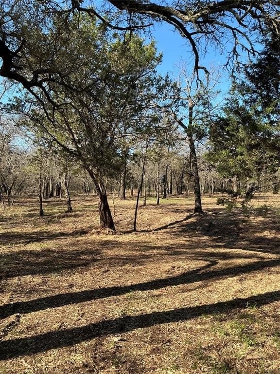 10.77 acres in Erath County - photo 22
