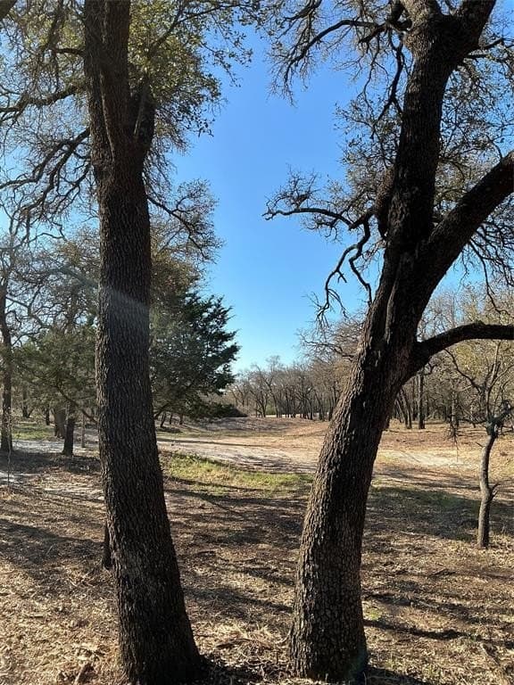 10.77 acres in Erath County - photo 21