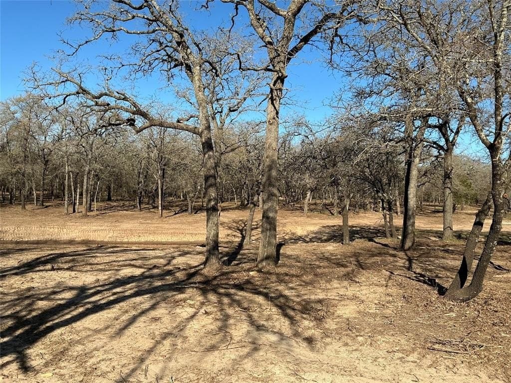 10.77 acres in Erath County - photo 9