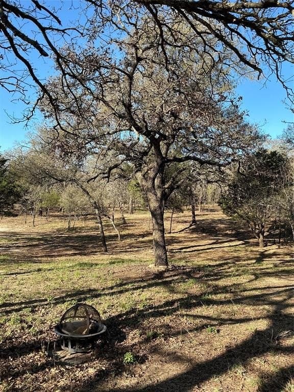 10.77 acres in Erath County - photo 24
