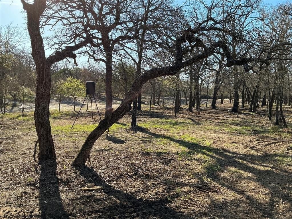 10.77 acres in Erath County - photo 19