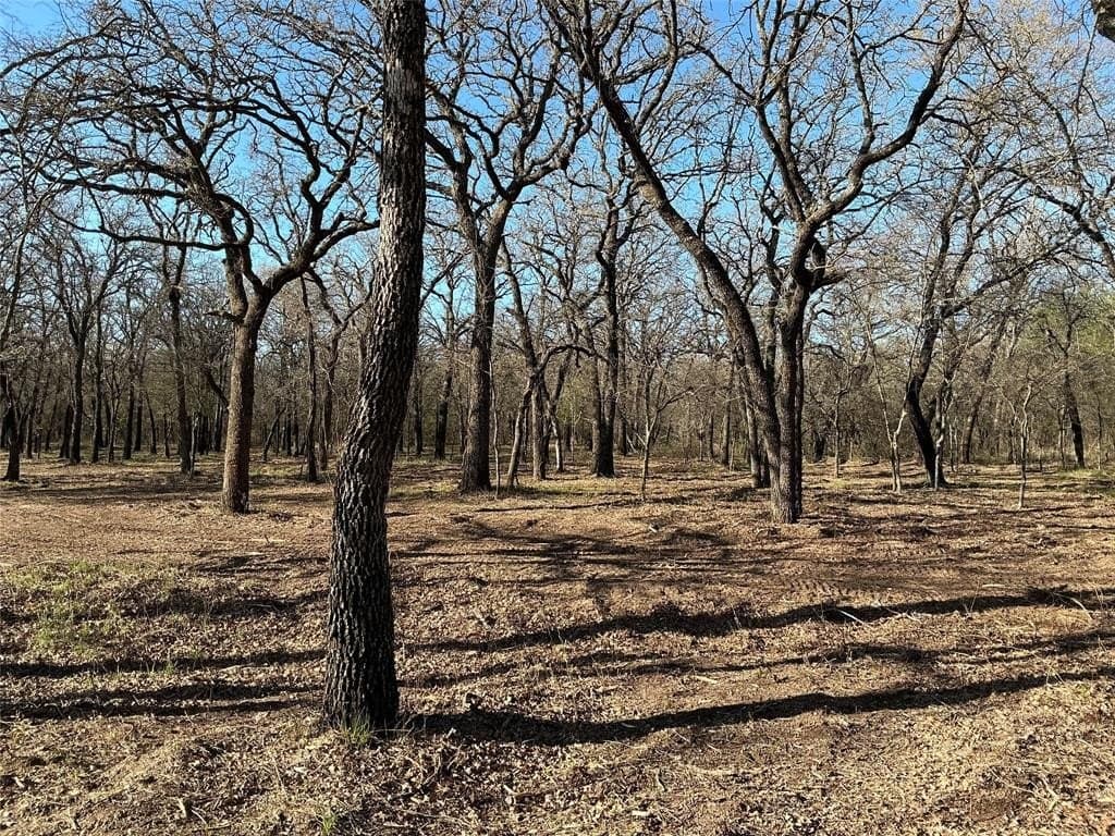 10.77 acres in Erath County - photo 14