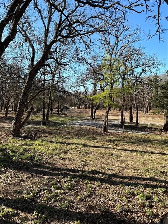 10.77 acres in Erath County - photo 23