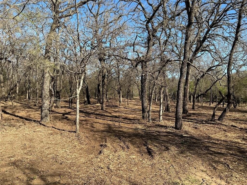10.77 acres in Erath County - photo 18