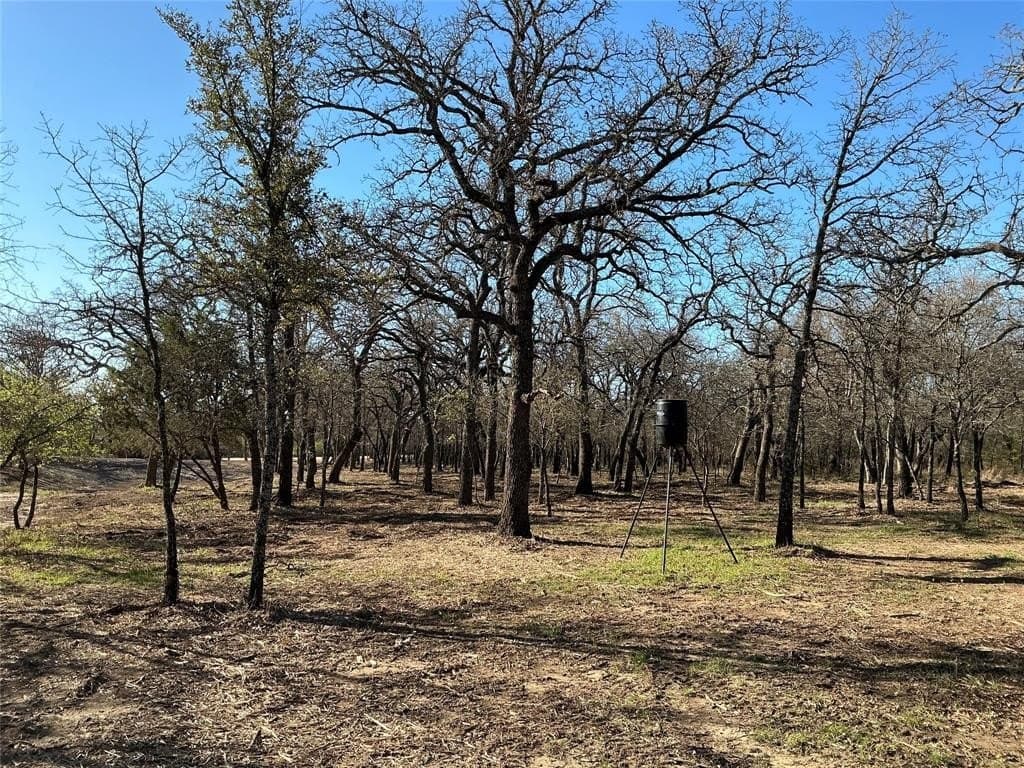 10.77 acres in Erath County - photo 20