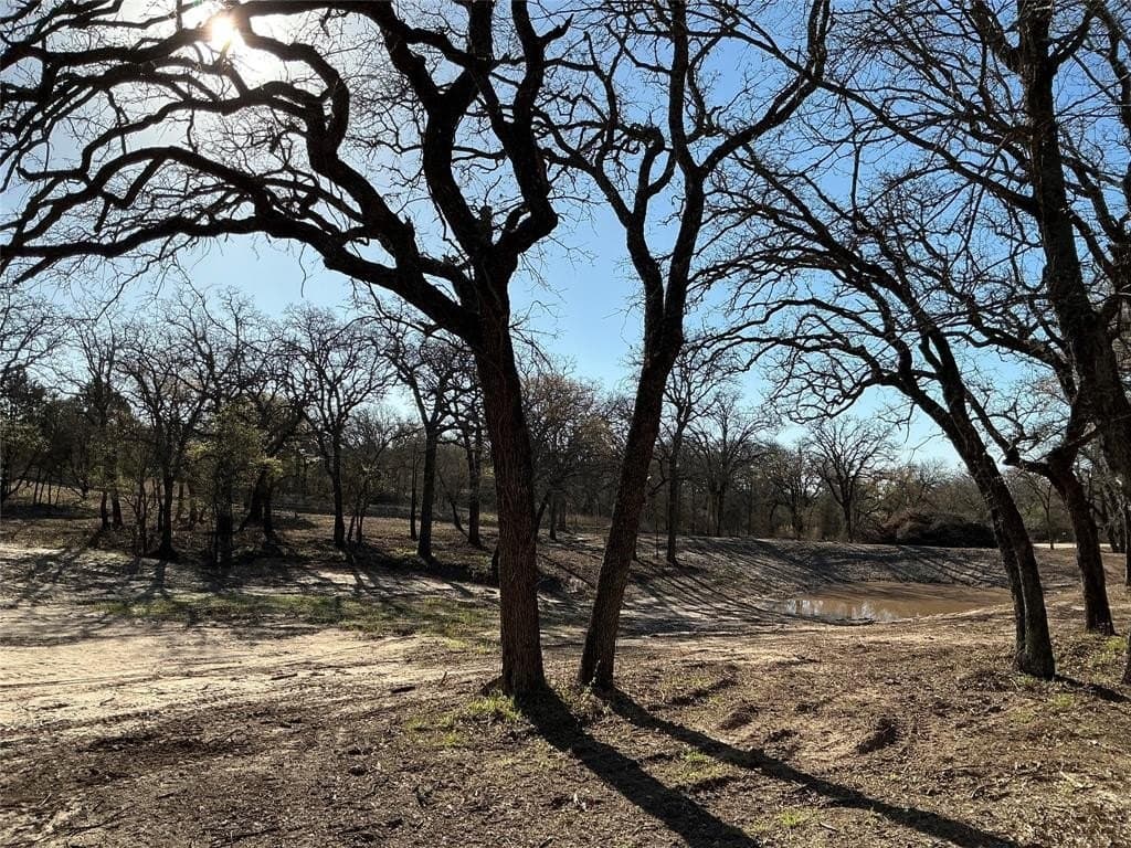 10.77 acres in Erath County - photo 16
