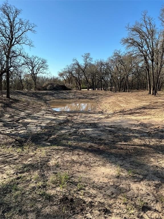 10.77 acres in Erath County - photo 12