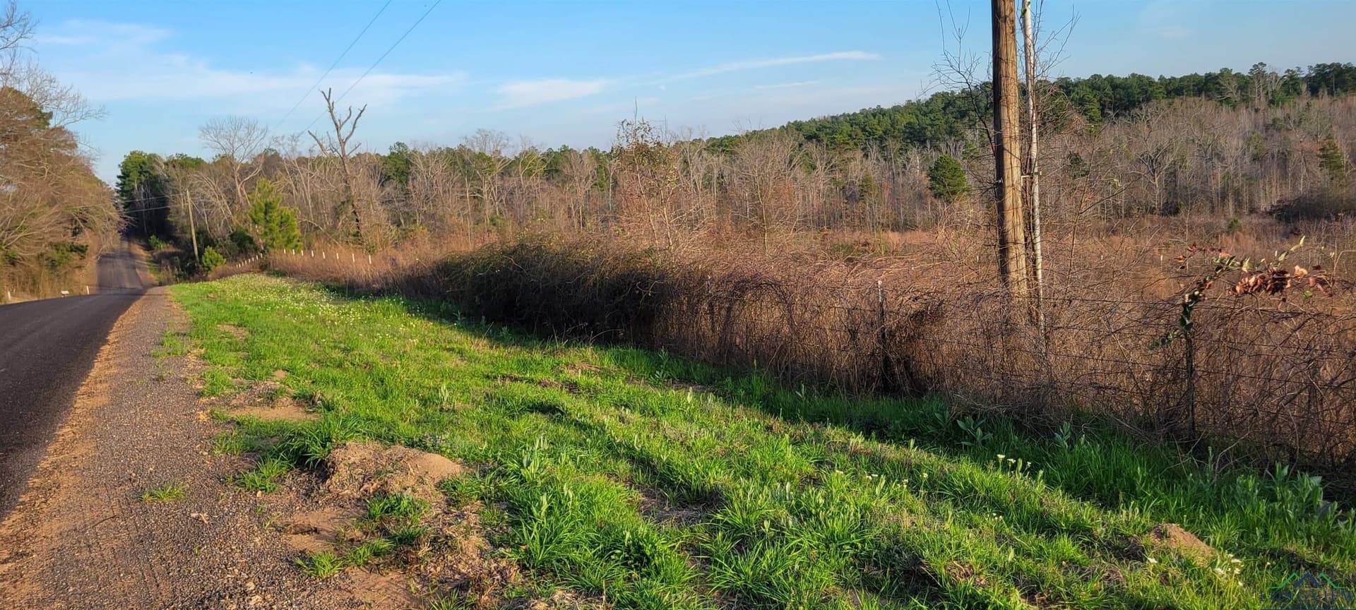 73.93 acres in Harrison County - photo 7