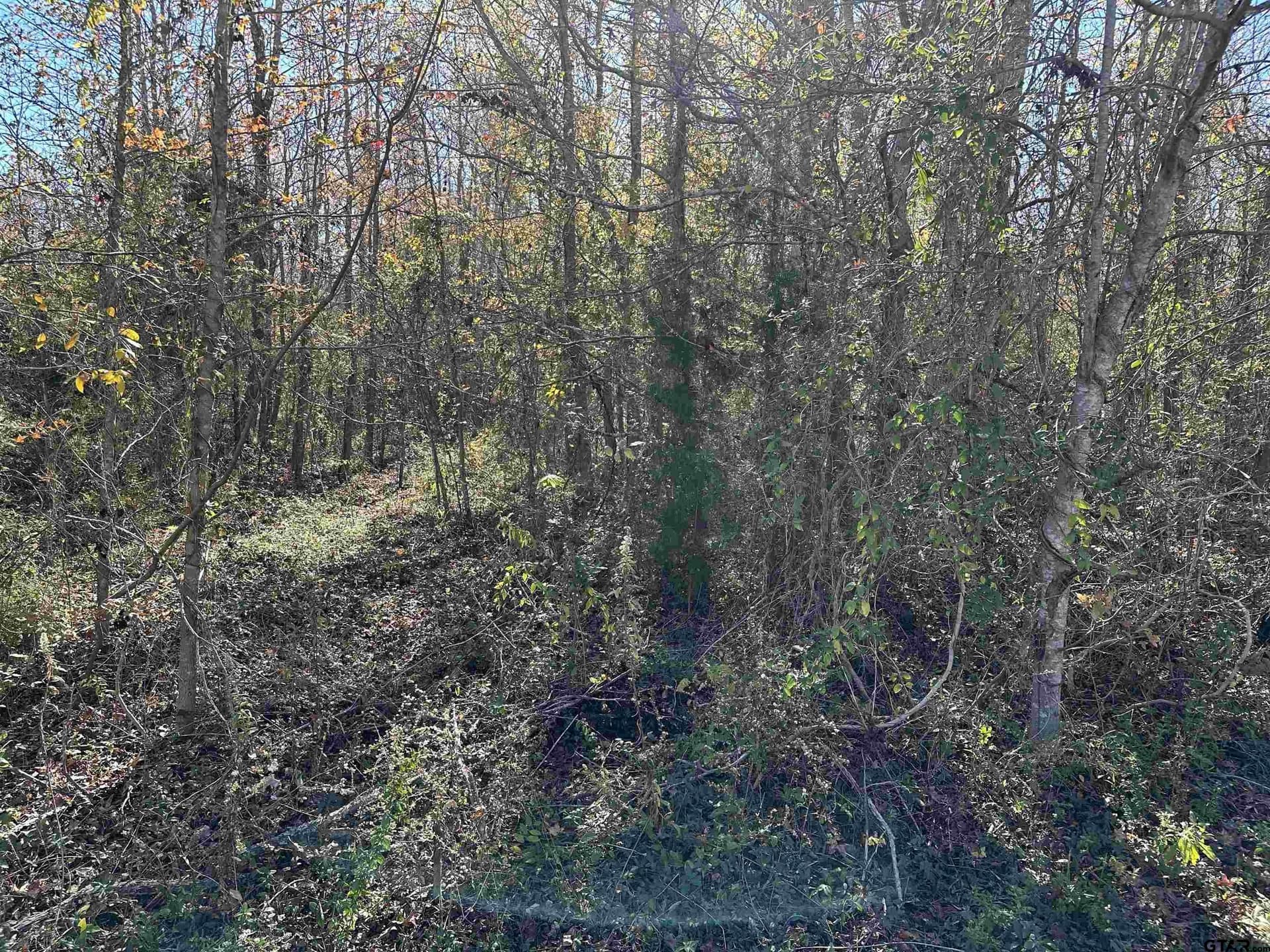 0.33 acres in Cherokee County - photo 4