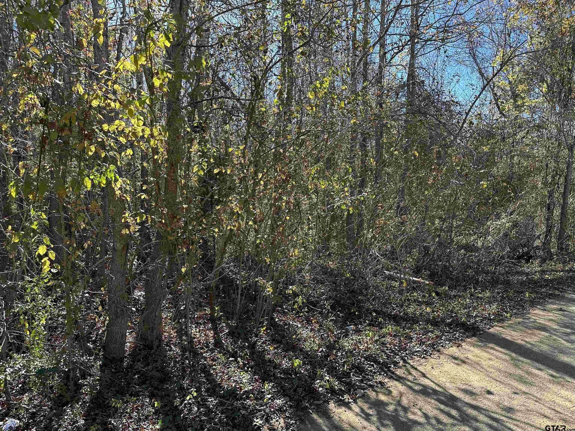 0.33 acres in Cherokee County - photo 3