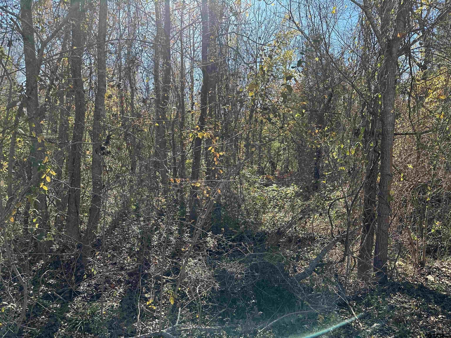 0.33 acres in Cherokee County - photo 2