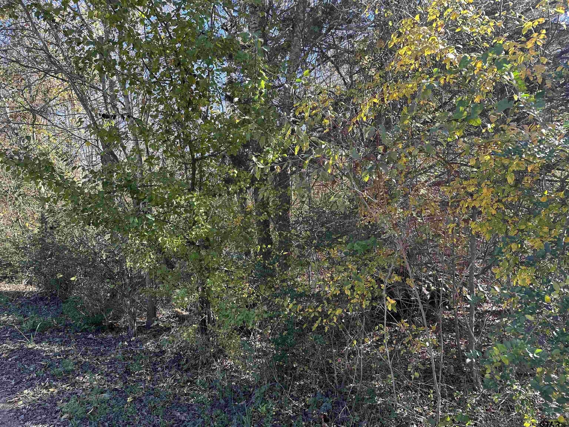 0.33 acres in Cherokee County - photo 5