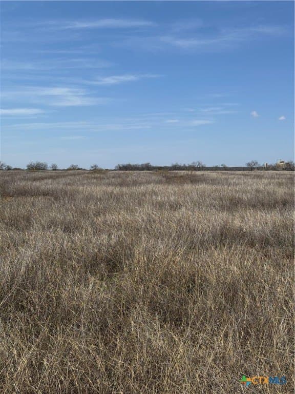 11.8 acres in Atascosa County - photo 4